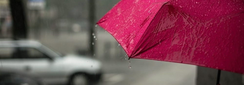 umbrella insurance Everett WV